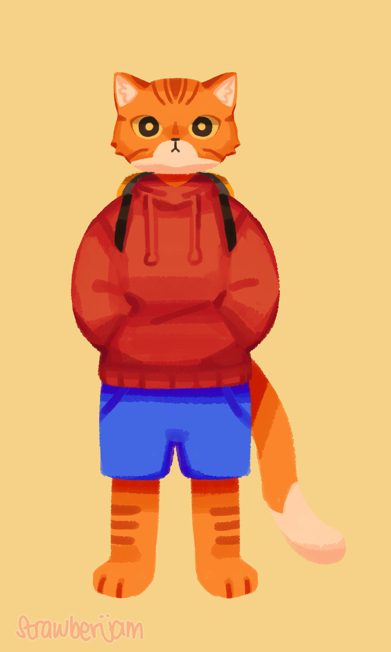 Cat Character Design Illustration